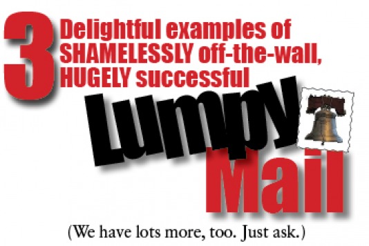 The RESPONSE Agency, lumpy mail experts, three-dimensional direct mail experts